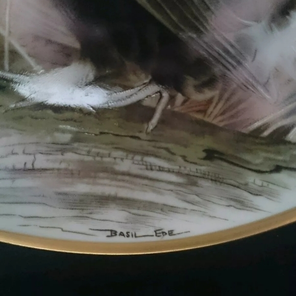 Black Grouse Franklin Porcelain Collectable Plate - Picture 2 of 4